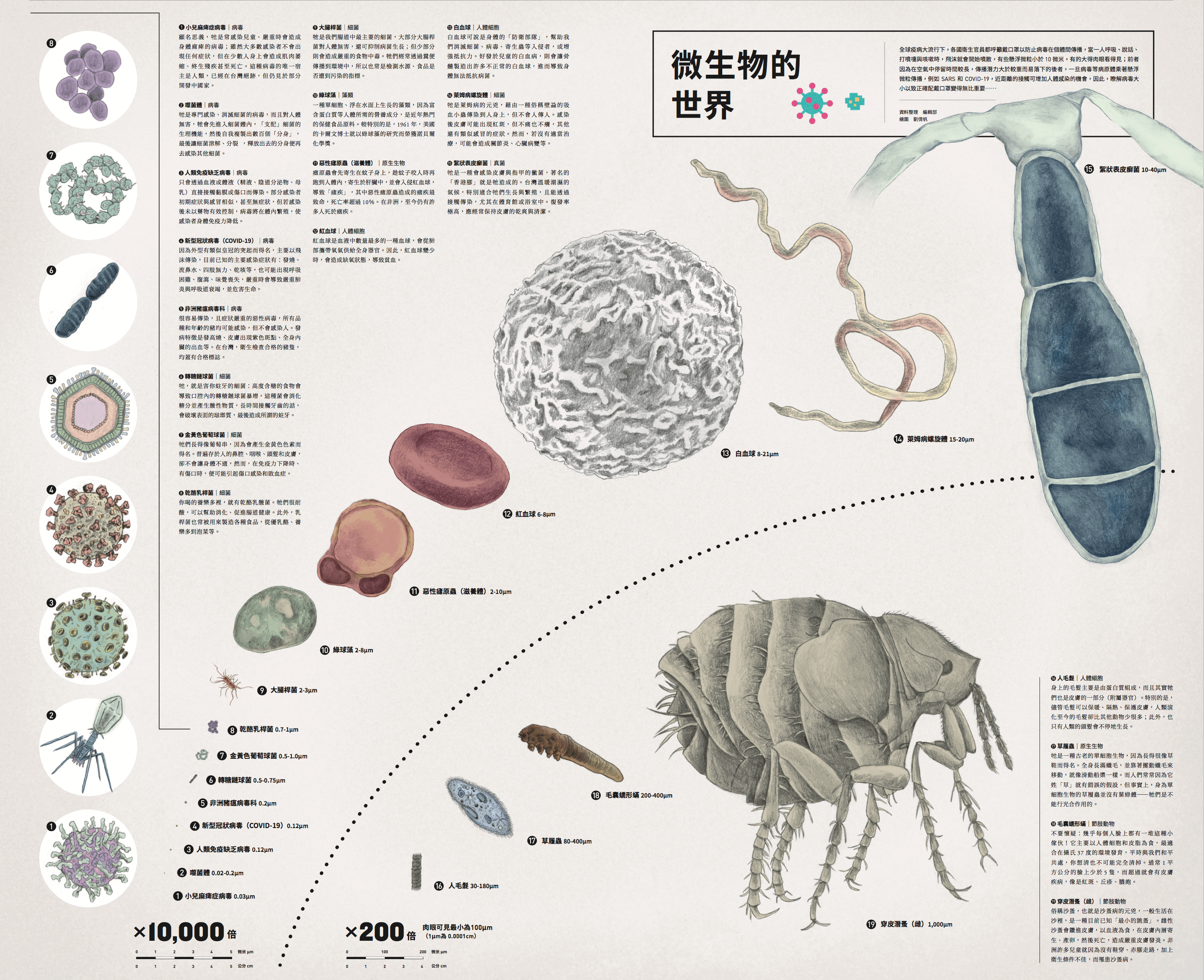 微生物的世界