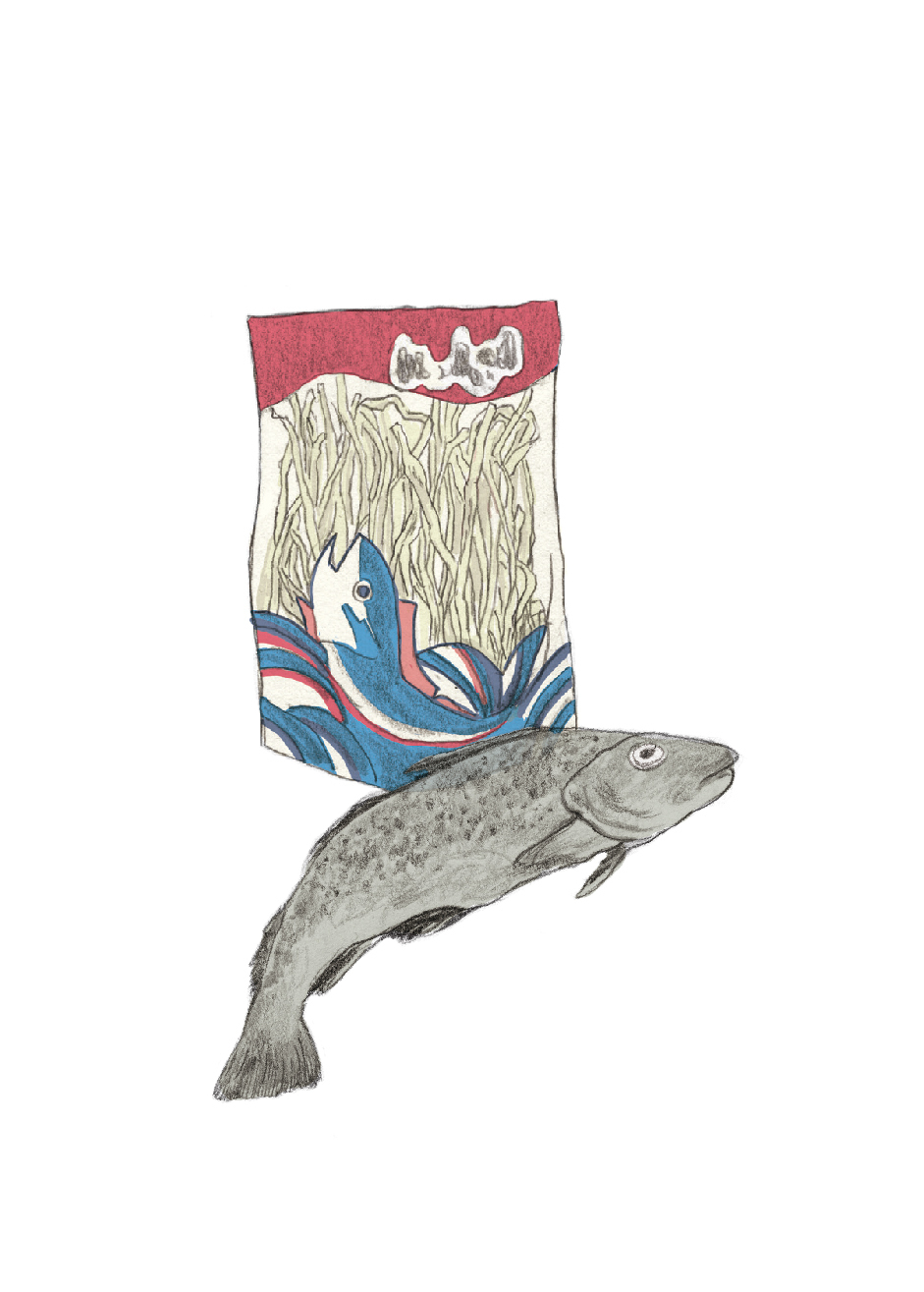 04、鱈魚