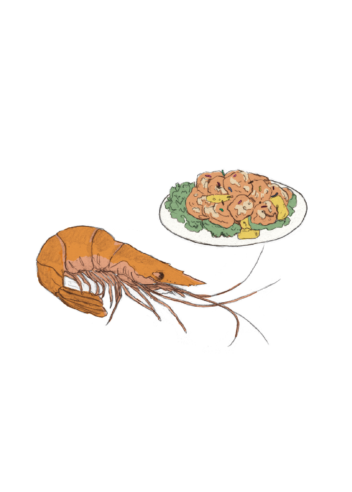 08、蝦子