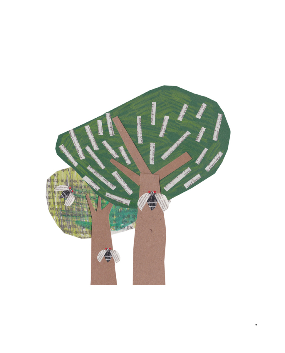 山