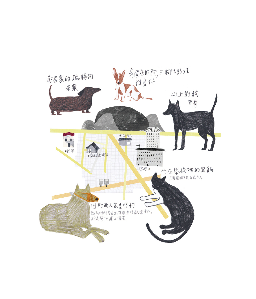  散步紀錄︰動物篇