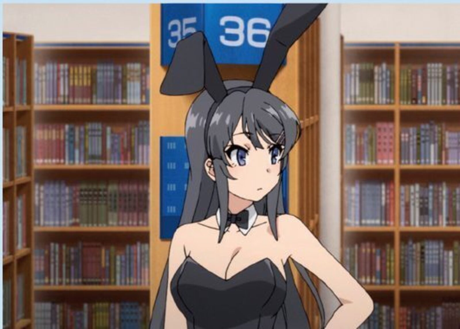 《青春豬頭少年不會夢到兔女郎學姊》