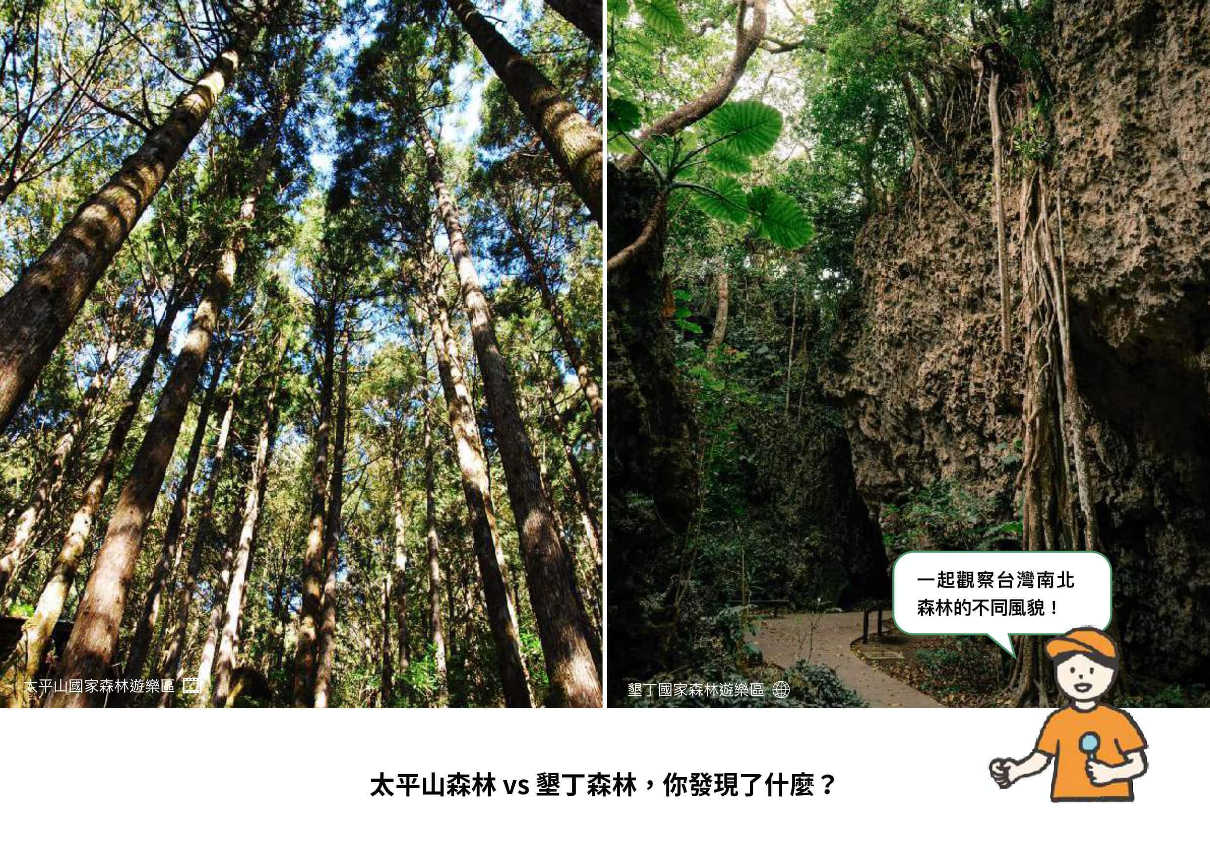 太平山森林與墾丁森林的圖片