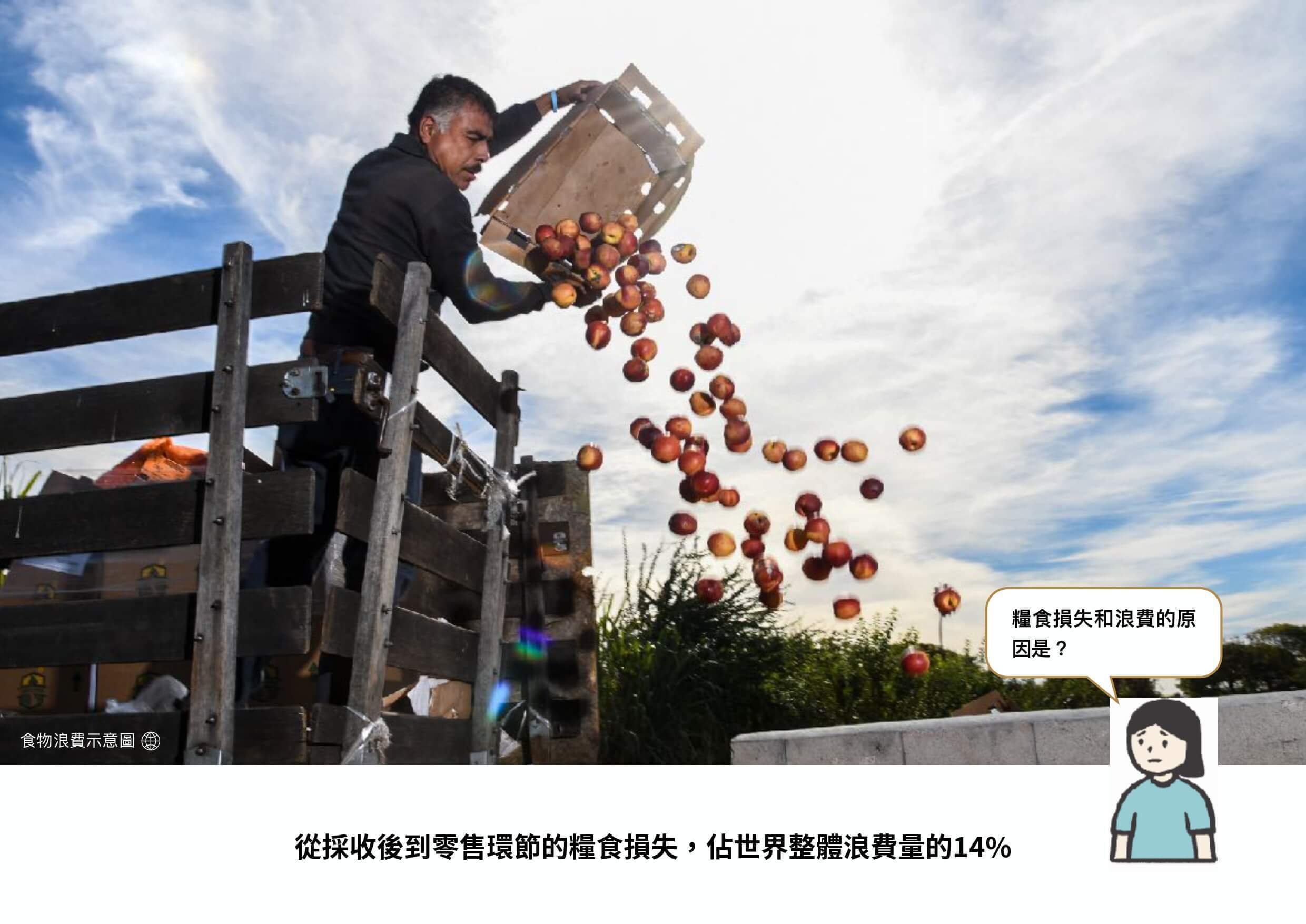 食物浪費示意圖