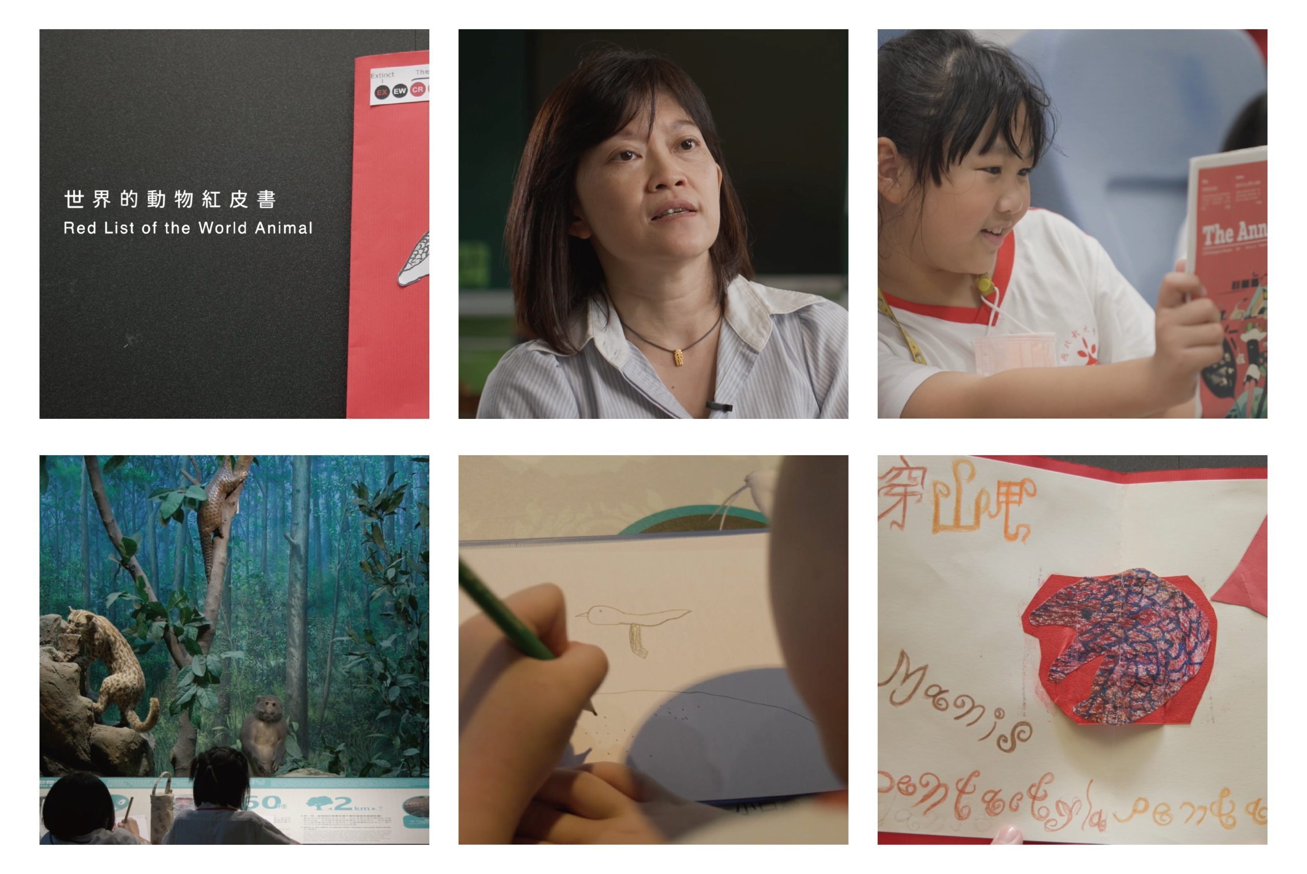 世界的動物紅皮書官網文章圖片