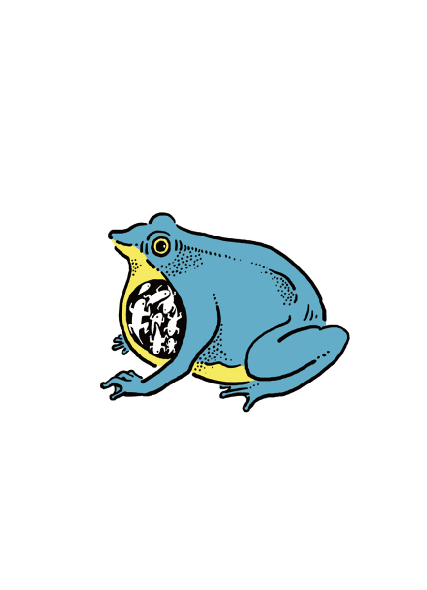 達爾文蛙 Darwin Frog