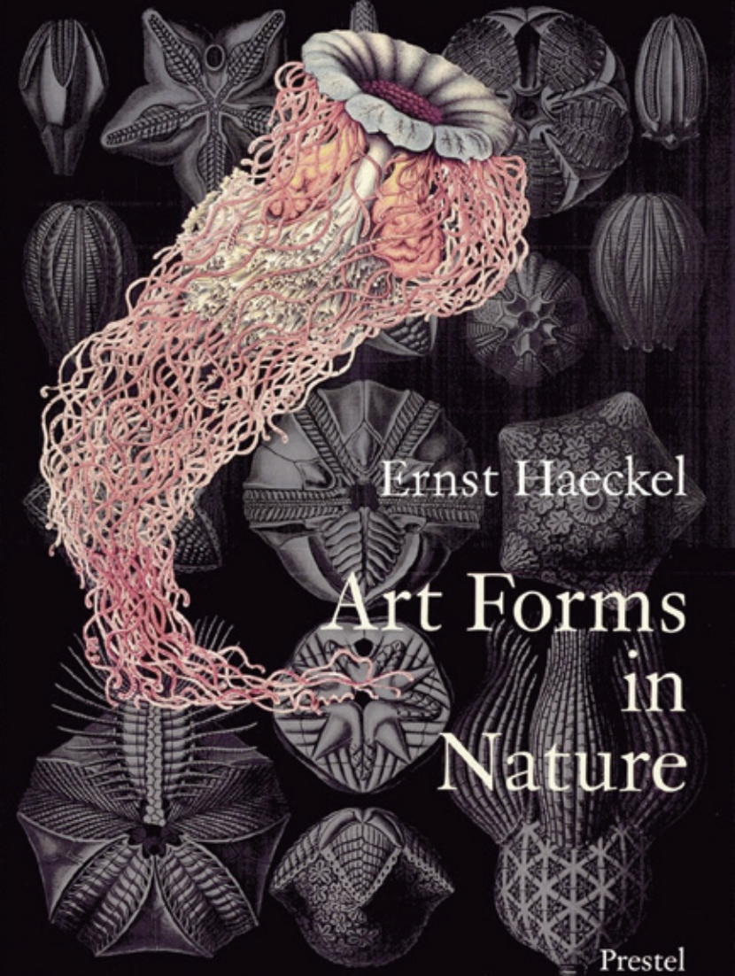 自然的藝術形態 Art Forms in Nature