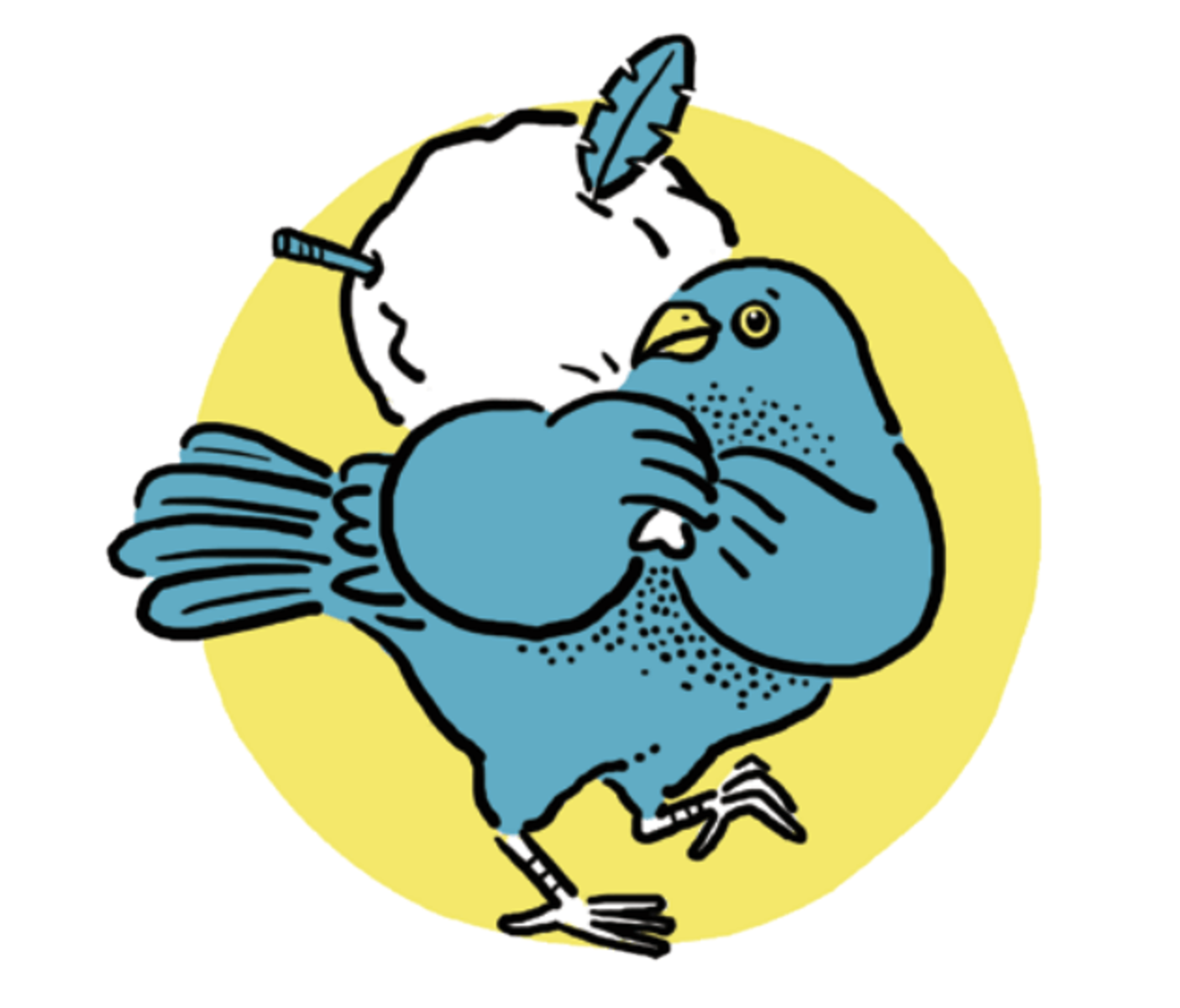 緞藍亭鳥  Satin Bowerbird