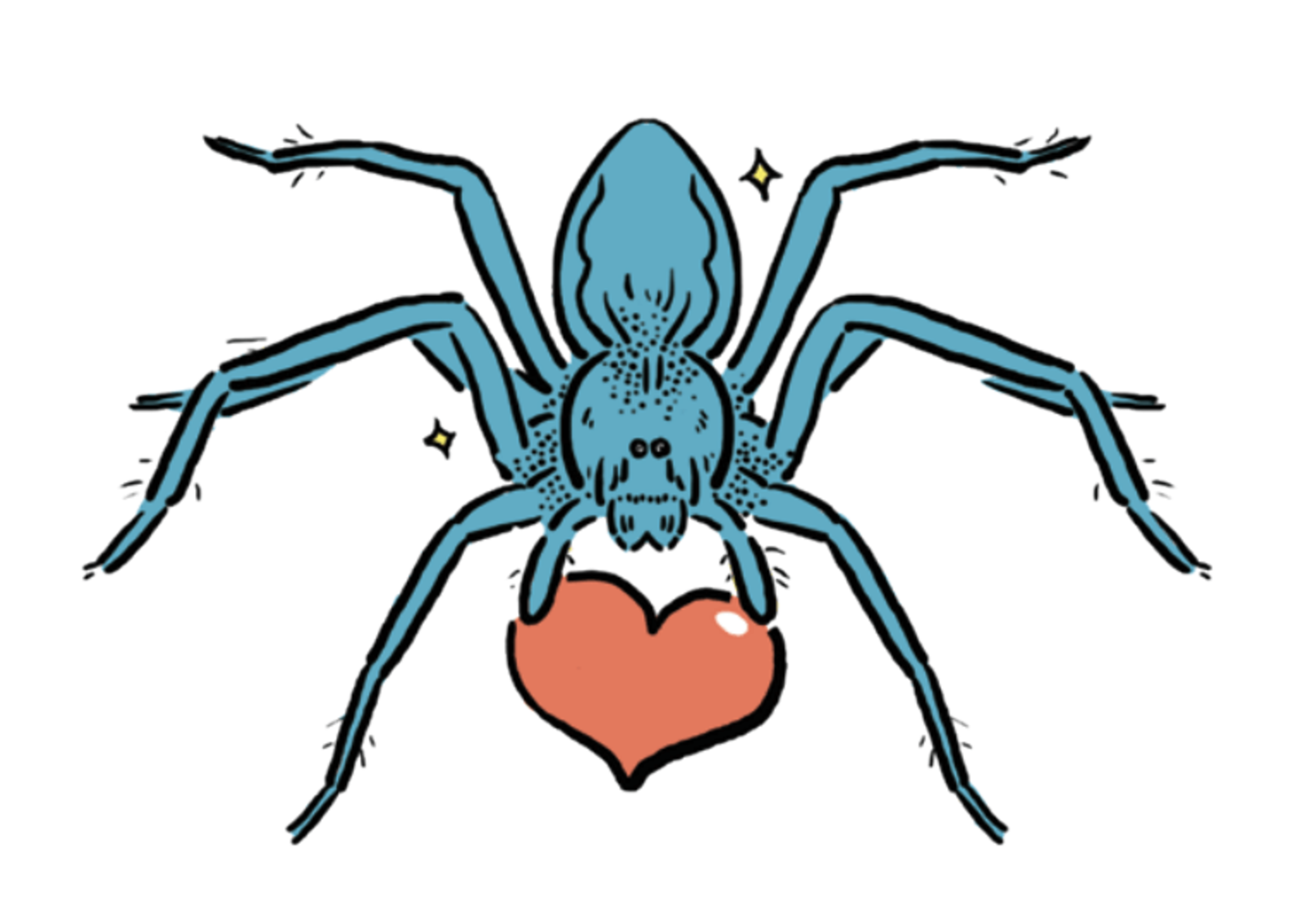 奇異跑蛛  Pisauridae Spiders