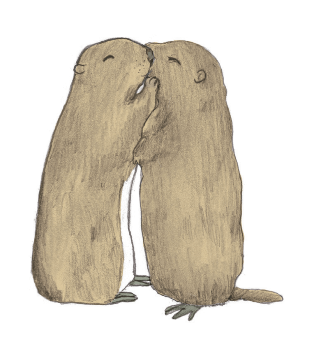 草原上的毛球哨兵─草原犬鼠 Prairie dog