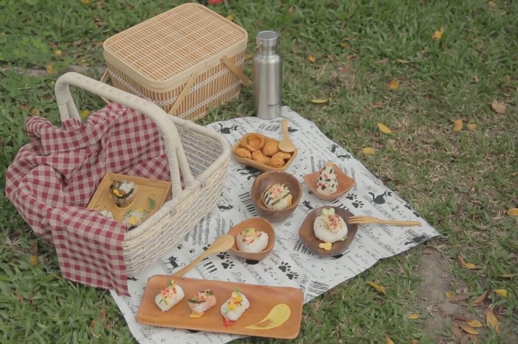 The Picnic Lesson in Everyday Life