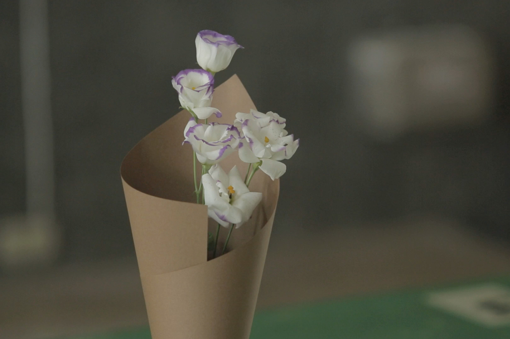 The Fascinating Color-Wrapping in the Flowery World